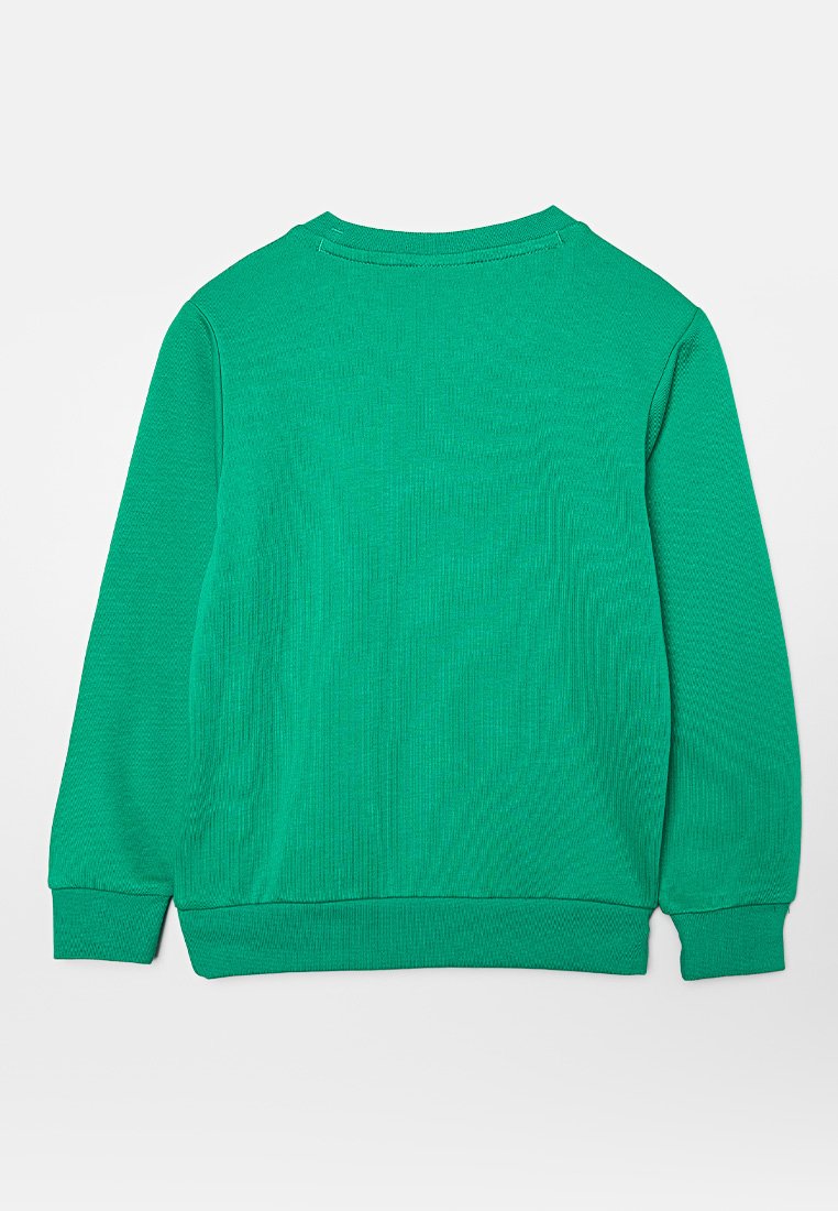 Sweatshirt vert avec un design texturé en rib et des manches longues, col rond. Le dos est uni sans imprimés ni accents.