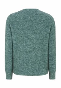 Maglione verde lavorato a maglia con scollo rotondo, maniche lunghe e una finitura testurizzata. Il tessuto appare morbido e presenta un motivo mélange.