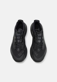 Nike Performance PEGASUS TRAIL 3 GTX - Sapatilhas de trail running - black/dark smoke grey/iron grey