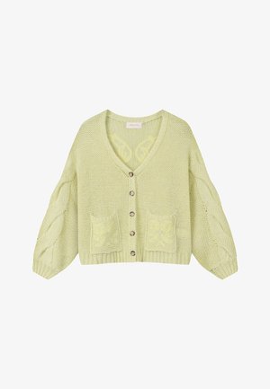 Cardigan en maille vert clair avec manches à motif torsadé, boutons à l'avant, deux poches avant et col en V.