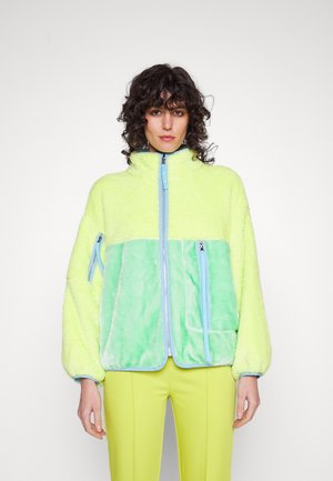MARLENE JACKET - Winter jacket - vibrant green/grass