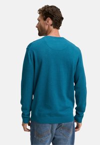 Türkiser Pullover aus weichem Stoff, mit Rundhalsausschnitt und langen Ärmeln, sowie einem minimalen Nahtdetail auf der Rückseite.