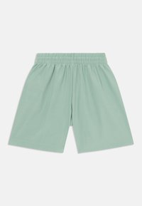 Pantalones cortos de color verde claro hechos de una tela suave y elástica. Cintura elástica sin cierres visibles. Piernas de corte recto y textura lisa.