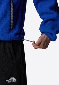 The North Face TNF FLEESKI - Felpa in pile - tnf blue