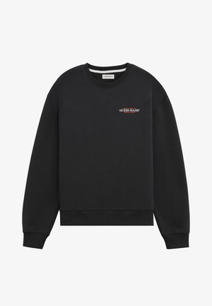 Must mustree, misestatud puuvillast ja sünteetilisest kangast. Omab ümarat kaelaauku, pikki varrukaid, soonikuid ja rinnal väikest punast tikandiga logo.