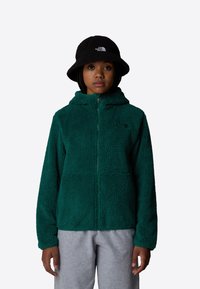 The North Face CAMPSHIRE - Forro polar - evergreen