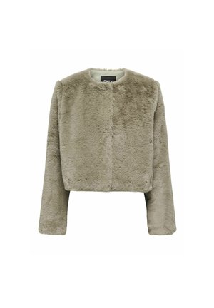 Veste courte et floue en fausse fourrure douce de couleur gris clair. Elle a des manches longues, un col rond et une fermeture frontale simple sans fermetures visibles.