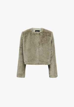 Veste courte et floue en fausse fourrure douce de couleur gris clair. Elle a des manches longues, un col rond et une fermeture frontale simple sans fermetures visibles.