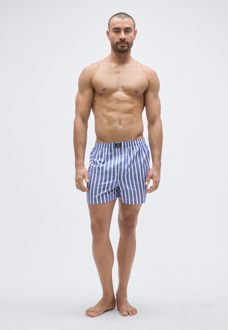 Pánske modro-bielo pruhované plavky s elastickým pásom a malou čiernou náplasťou vpredu. Hladká tkanina, dizajn do kolien.
