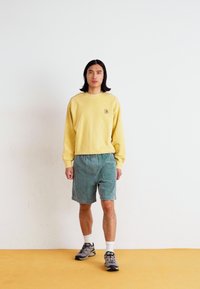 Sweatshirt à col rond jaune avec logo, shorts vert clair et baskets grises. Le modèle se tient devant un fond blanc uni.