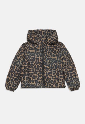 TIGELLE - Winterjas - multicoloured/brown