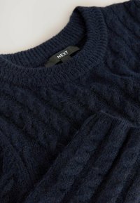 Marineblauer Strickpullover mit Zopfmuster und geripptem Kragen. Markenetikett "NEXT" auf der Innenseite sichtbar.