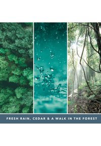 Yankee Candle SIGNATURE MEDIUM JAR BAYSIDE CEDAR - Doftljus - blue