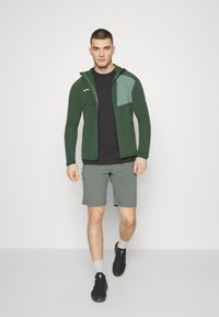 Jack Wolfskin GLASTAL  - Shorts outdoor - gecko green