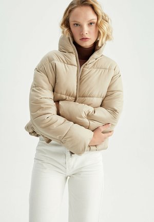 RELAX FIT - Chaqueta de invierno - brown