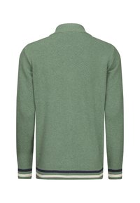 Maglione verde lavorato a maglia con un motivo testurizzato, dotato di un colletto e di polsini a strisce blu scuro e bianchi all'orlo.