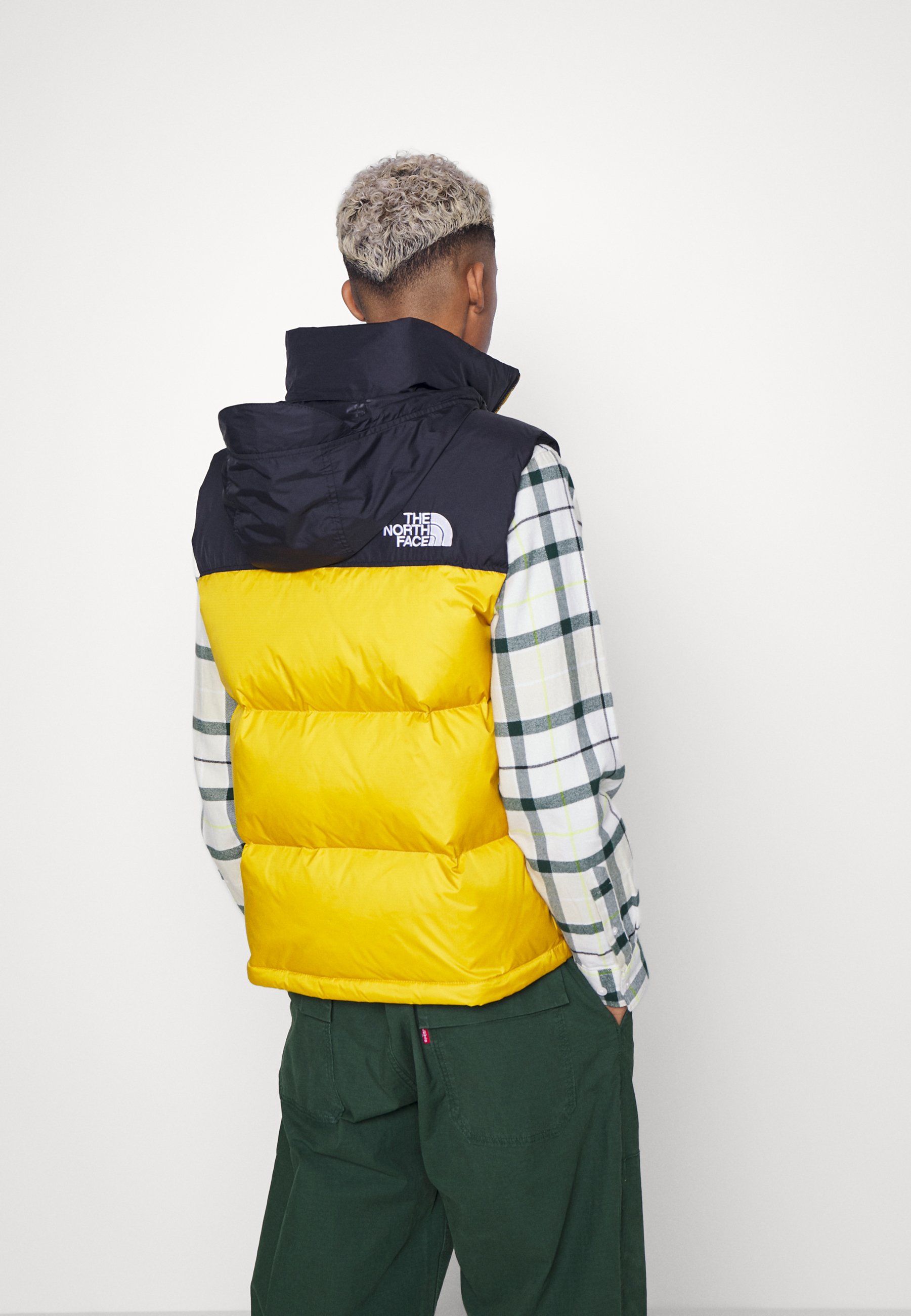tnf vest