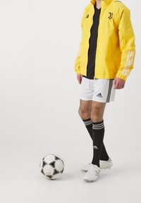 Chaqueta deportiva amarilla con acentos negros, camiseta negra, pantalones cortos blancos, calcetas negras con rayas blancas y botines de fútbol blancos, junto a un balón de fútbol en blanco y negro.