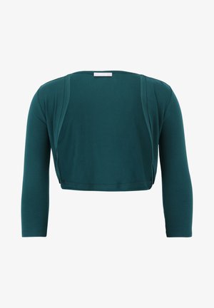 Chemisier court teal à manches longues, col rond, en tissu doux, avec des détails drapés sur les côtés, doté d'un ourlet soigné et d'un éclat subtil.