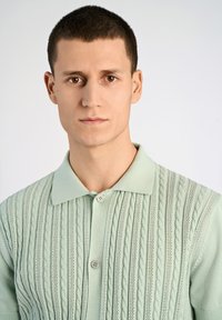 Polohemd in hellmintgrün, mit Kabelstrickmustern, einem Knopfkragen und kurzen Ärmeln mit strukturiertem Design.