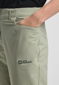 Jack Wolfskin PRELIGHT STRIDE - Broek - mint leaf