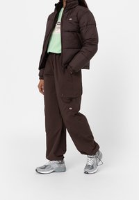 Dickies Zimní bunda - dark brown