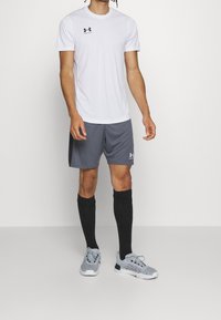 Under Armour Träningsshorts - dark grey