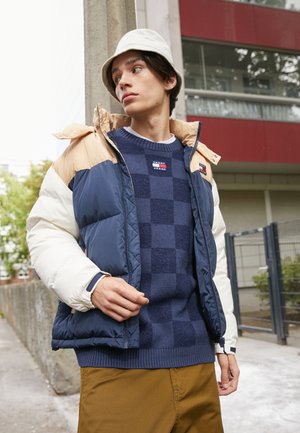 ALASKA - Down jacket - trench/multi