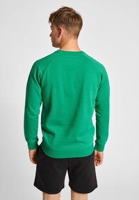 Sweatshirt vert avec un col ras du cou, des manches raglan et une texture douce. Porté avec un short noir, affichant un design simple et athlétique.