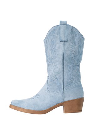 Stivale da cowboy in suede azzurro chiaro con motivi floreali ricamati, linguetta per infilare, punta appuntita e tacco impilato marrone.