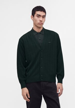 Jeune homme aux cheveux courts et foncés portant un cardigan vert foncé boutonné sur un polo assorti, sur fond blanc uni.