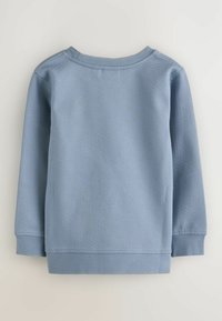 Lichtblauwe longsleeve sweatshirt met een gestructureerd patroon, ronde halslijn en geribbelde manchetten en zoom. Gemaakt van zachte stof.