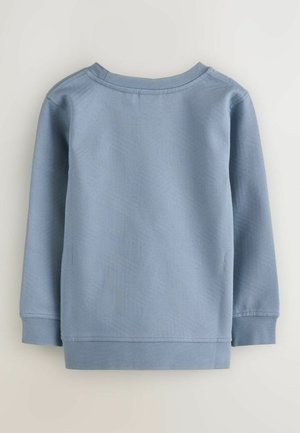 Lyseblå langærmet sweatshirt med tekstureret mønster, rund halsudskæring og ribbede manchetter og kant. Fremstillet af blødt stof.