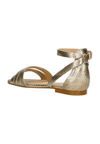Platte sandalen met een metallic gouden slangenprint, open teen ontwerp, kruislings enkelbandjes en een lage gestapelde hak.
