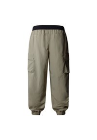 The North Face HIMALAYAN - Kareiviško stiliaus kelnės - clay grey tnf black