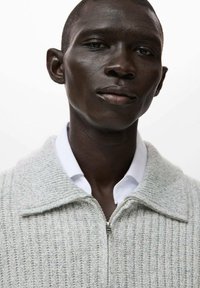 Cardigan gri, cu dungi, cu fermoar frontal, având un guler clasic, purtat peste o cămașă albă. Textură fină și design structurat.