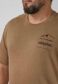 Brązowy bawełniany t-shirt z krótkimi rękawami, okrągłym dekoltem, czarnym nadrukiem górskim i napisem "PHYS. ED. whiteplains" na piersi.