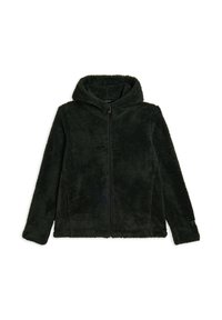 Felpa in pile verde scuro con zip integrale, texture morbida, maniche lunghe e cappuccio attaccato per il calore. Nessun motivo o dettaglio in metallo.