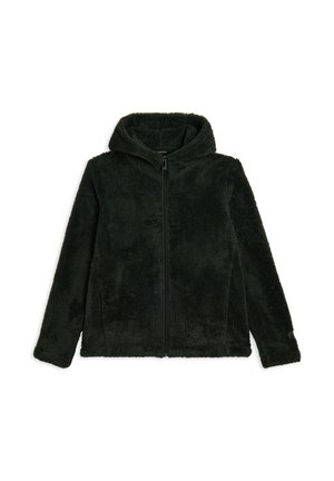 Felpa in pile verde scuro con zip integrale, texture morbida, maniche lunghe e cappuccio attaccato per il calore. Nessun motivo o dettaglio in metallo.