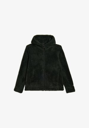 Felpa in pile verde scuro con zip integrale, texture morbida, maniche lunghe e cappuccio attaccato per il calore. Nessun motivo o dettaglio in metallo.