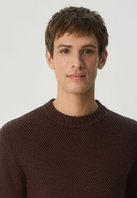 Pruun kudumipehme särk, millel on ribatud ümar kaelus, tekstuuriga kangas ja pikad varrukad, keha lähedal istuv, kantud modellilt.