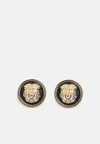 ALDO WIGOLLA - Earrings - black/gold-coloured