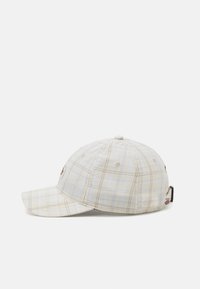 Dickies SURRY UNISEX - Pet - beige