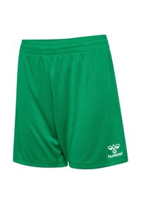 Gröna sportshorts gjorda av ett slätt material, med en elastisk midja och en vit logotyp på nedre högra sidan.
