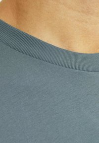 Lichtblauwe crewneck t-shirt van zacht materiaal, met een gestructureerde geribde kraag en een gladde body, die een subtiele glans vertoont.