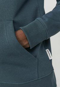 Jack & Jones JORLAKEWOOD HOOD - Felpa con cappuccio - magical forest