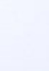 Terranova - T-shirt basic