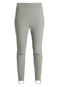 Světle šedé sportovní kalhoty s elastickým pasem, hladkou strukturou, přiléhavým střihem a decentním logem v levém horním rohu.