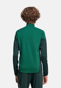 Groene sportjack met een hoge kraag, met donkerdere groene zijpanelen en een gladde textuur. De achterkant toont een getailleerd ontwerp.