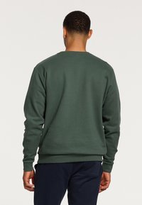 Groene katoenen sweatshirt met lange mouwen, ribbel ronde hals en zoom. Soepele textuur, geen zichtbare patronen of hardwaredetails.
